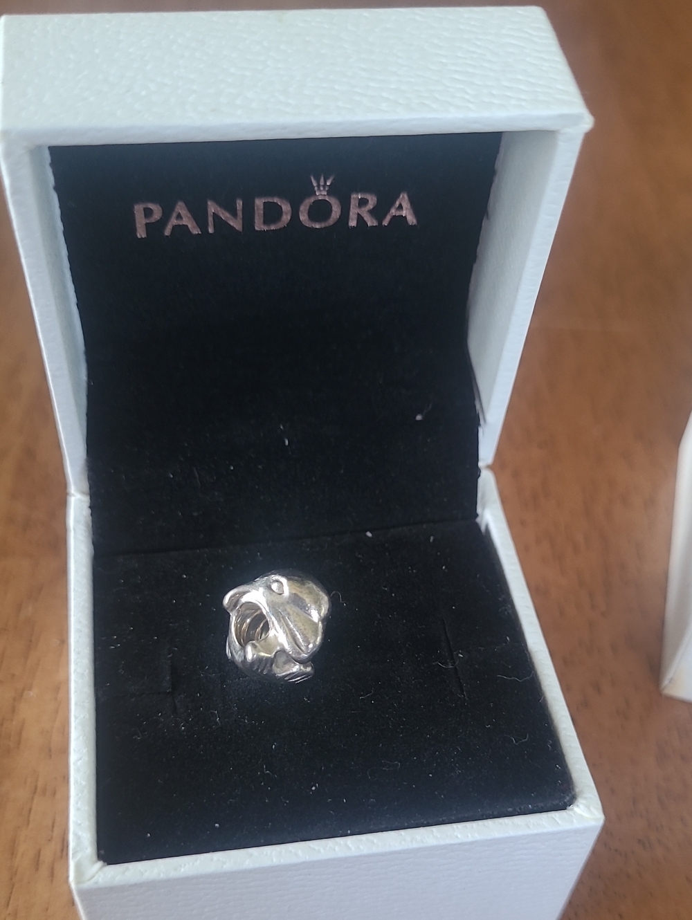 Pandora Dolphin Charm